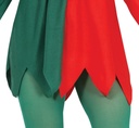 Elf Lady Costume – Adult Size Small (36-38)