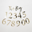 Gold The Big Milestone Custom Banner 2M