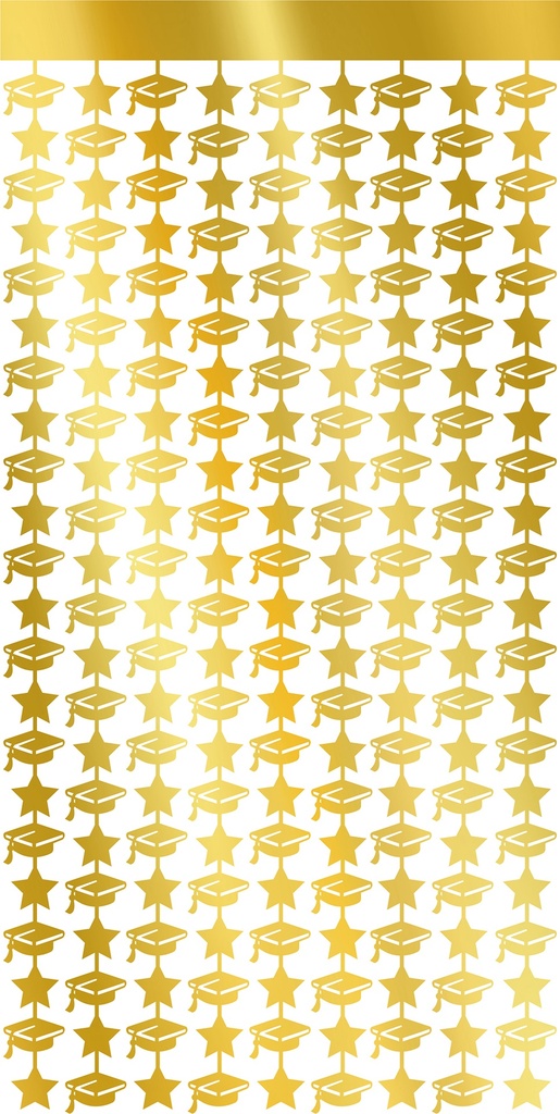 Graduation Tinsel Curtain 100x200cm