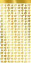 Graduation Tinsel Curtain 100x200cm