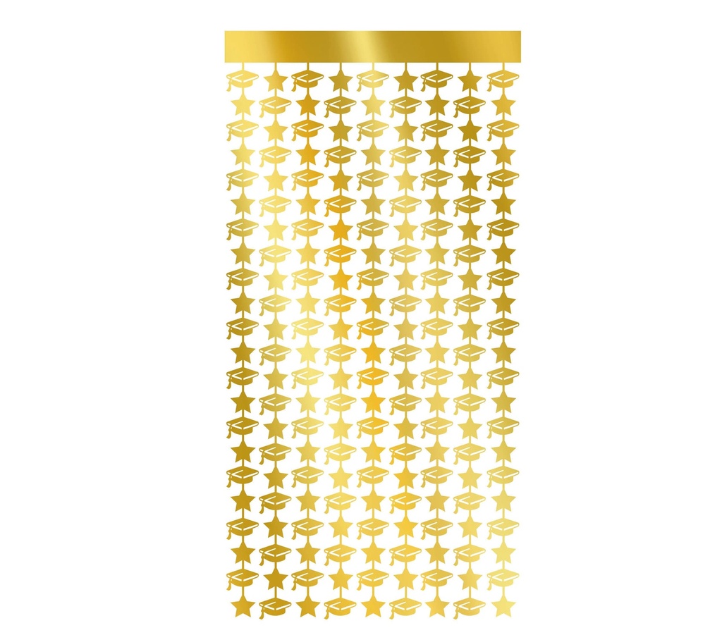 Graduation Tinsel Curtain 100x200cm