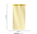 Graduation Tinsel Curtain 100x200cm