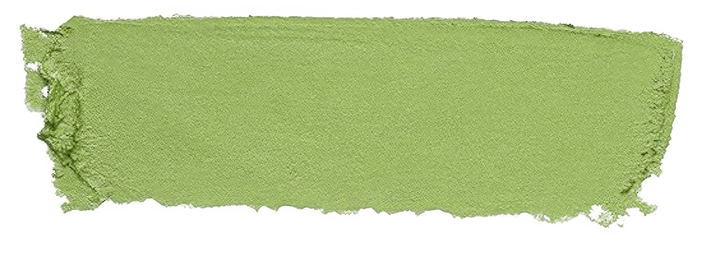 Guirca Face Painting Make-Up Stick 10g – Light Green
