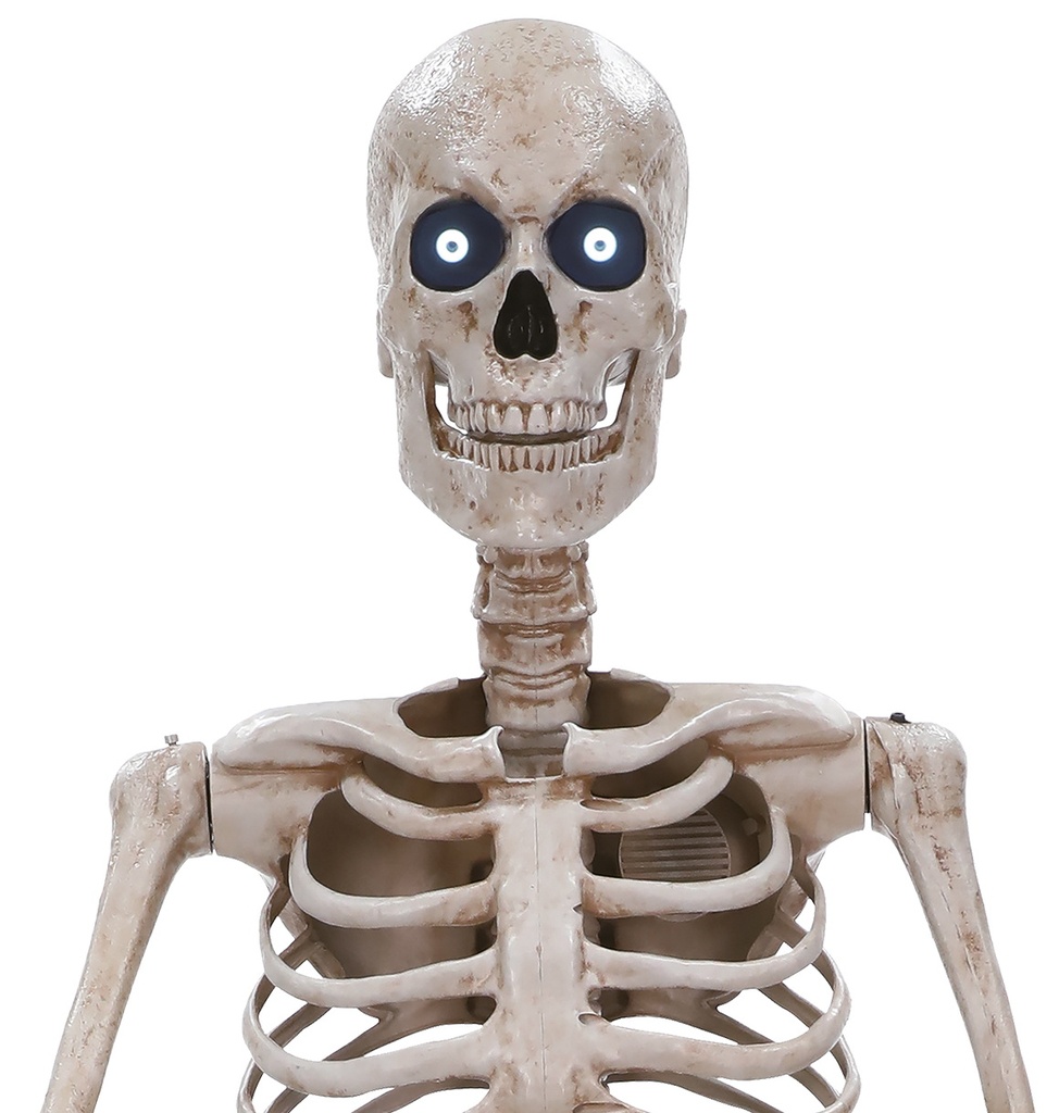 Halloween Animatronic Standing Towering Skeleton 243cm