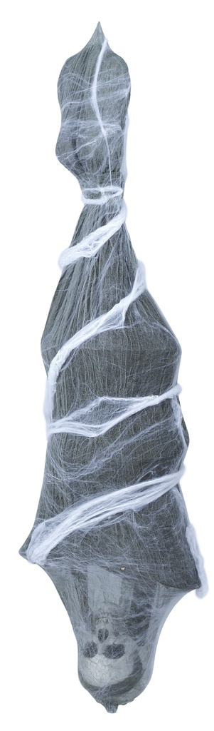 Halloween Decoration Hanging Skull In Spiderweb 120cm