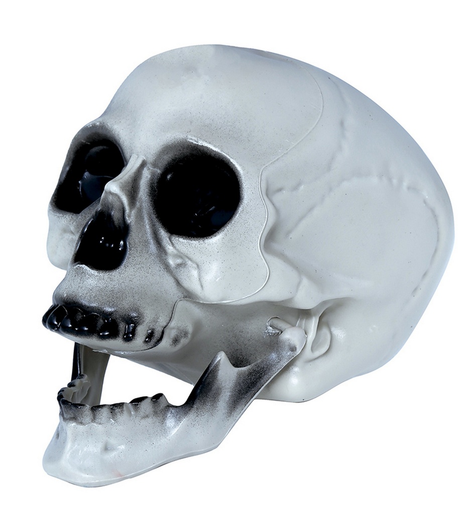 26598 15