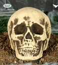 Halloween Foam Skull – 22cm