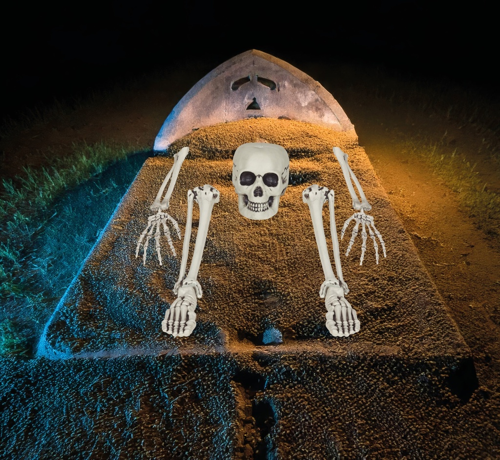 Halloween Skeleton Bone Set 5 Pieces