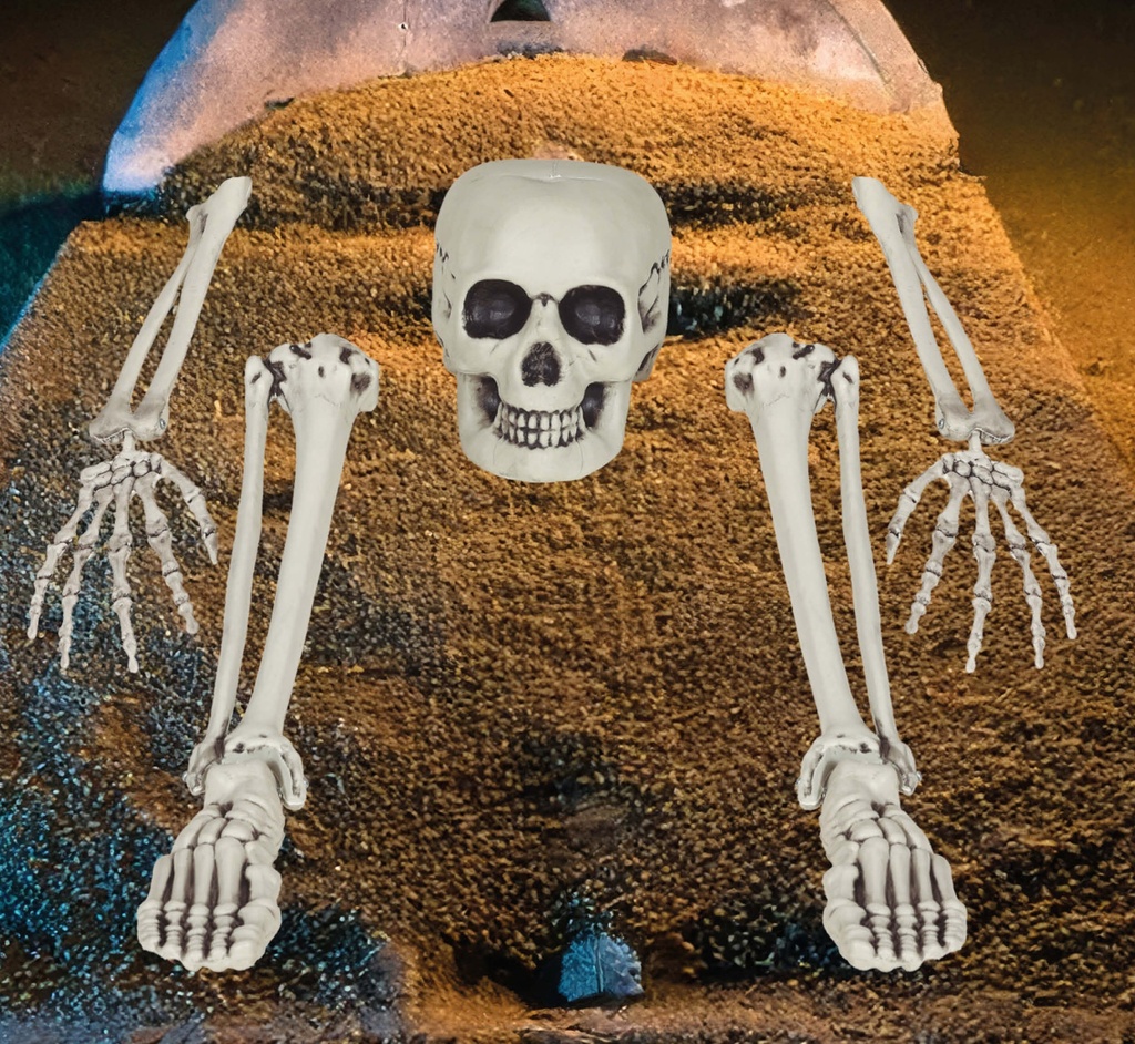 Halloween Skeleton Bone Set 5 Pieces