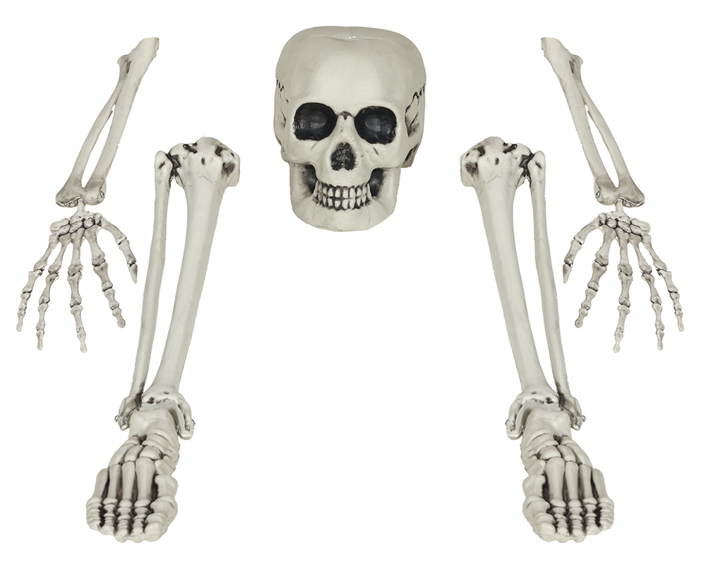 Halloween Skeleton Bone Set 5 Pieces