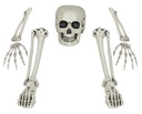 Halloween Skeleton Bone Set 5 Pieces
