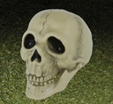 29229