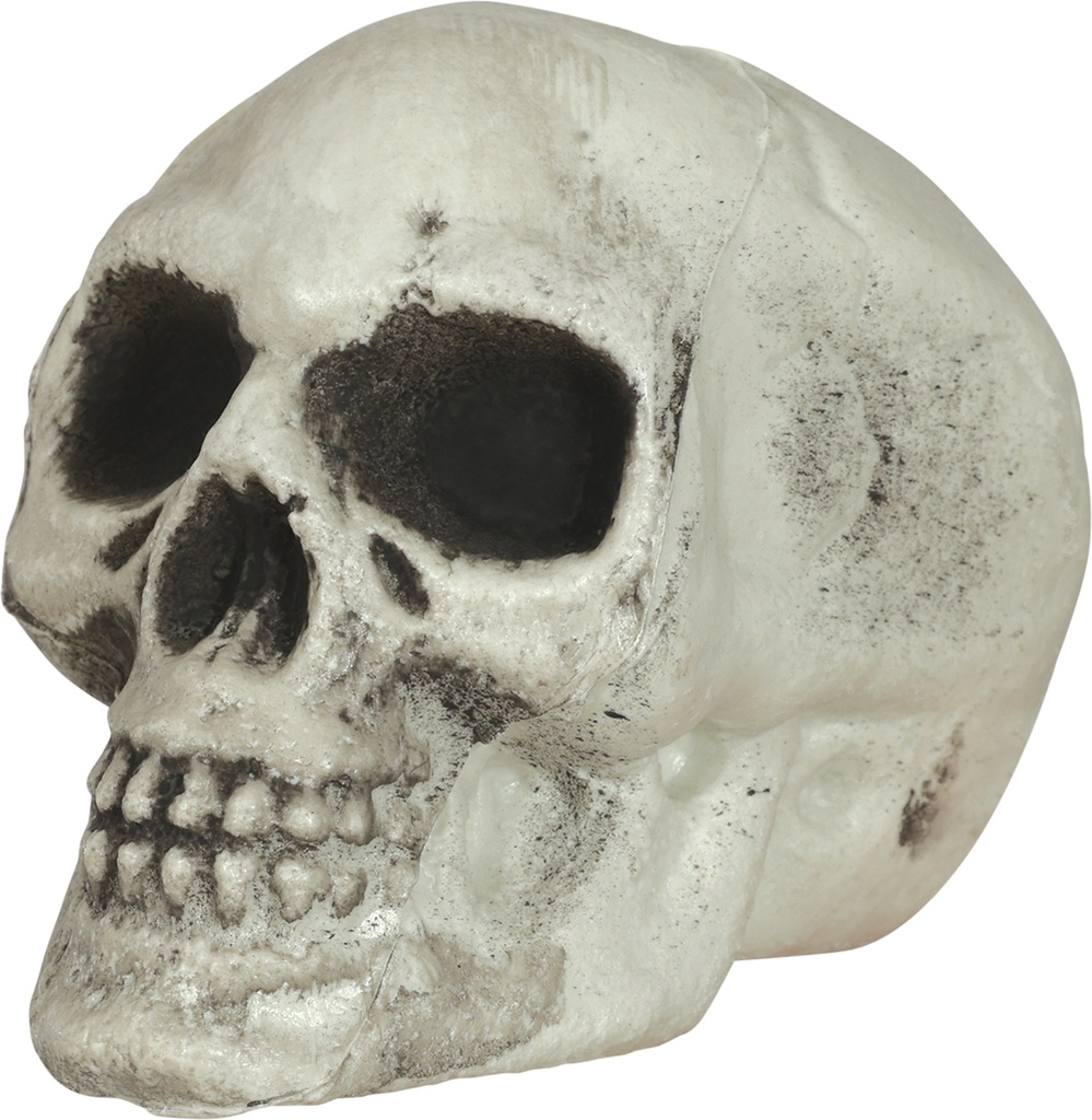 Halloween Skulls 8cm – 6pcs