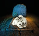 Halloween Skulls 8cm – 6pcs
