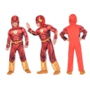 Licensed DC The Flash – Age 3 to 4 Years