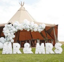 Mr & Mrs Balloon Mosaic Stand