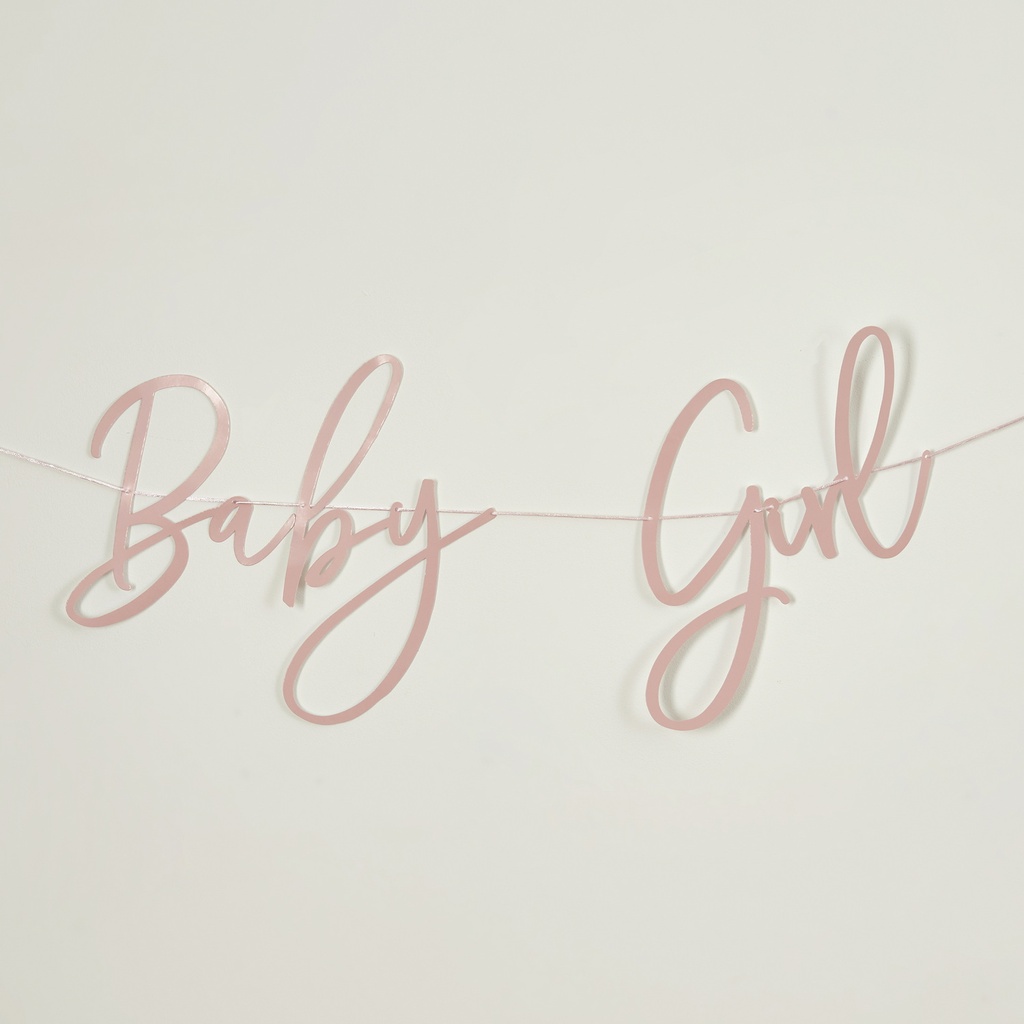 Pink Baby Girl Banner 2M