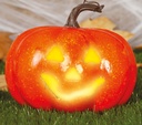 Pumpkin With Light – 11cm