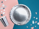 Round Plates, Silver, 23cm (1pkt / 6pc)