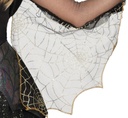 Shiny Spider Girl Costume – Age 5 to 6 Years