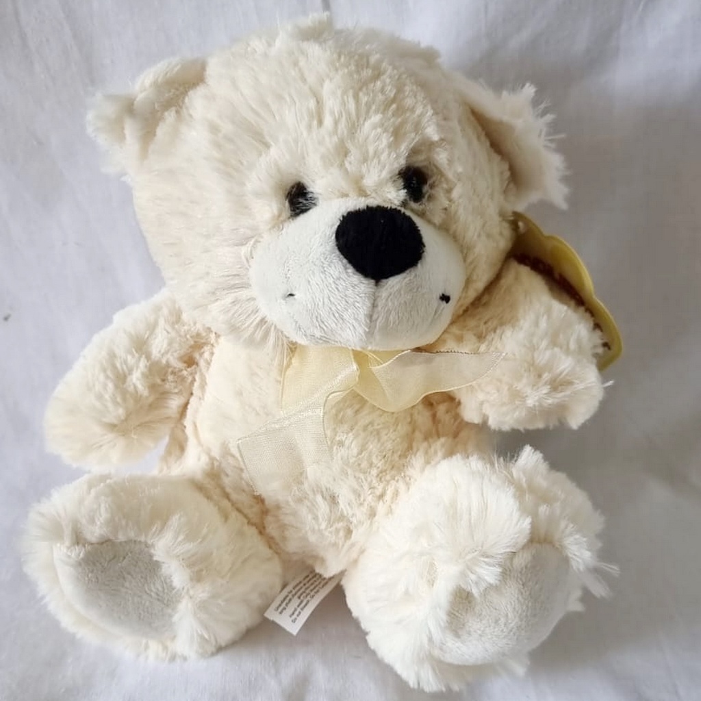 Snuggle Your Cuddly Friend Teddy Bear Soft Toy – 18x14cm