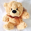 Snuggle Your Cuddly Friend Teddy Bear Soft Toy – 18x14cm