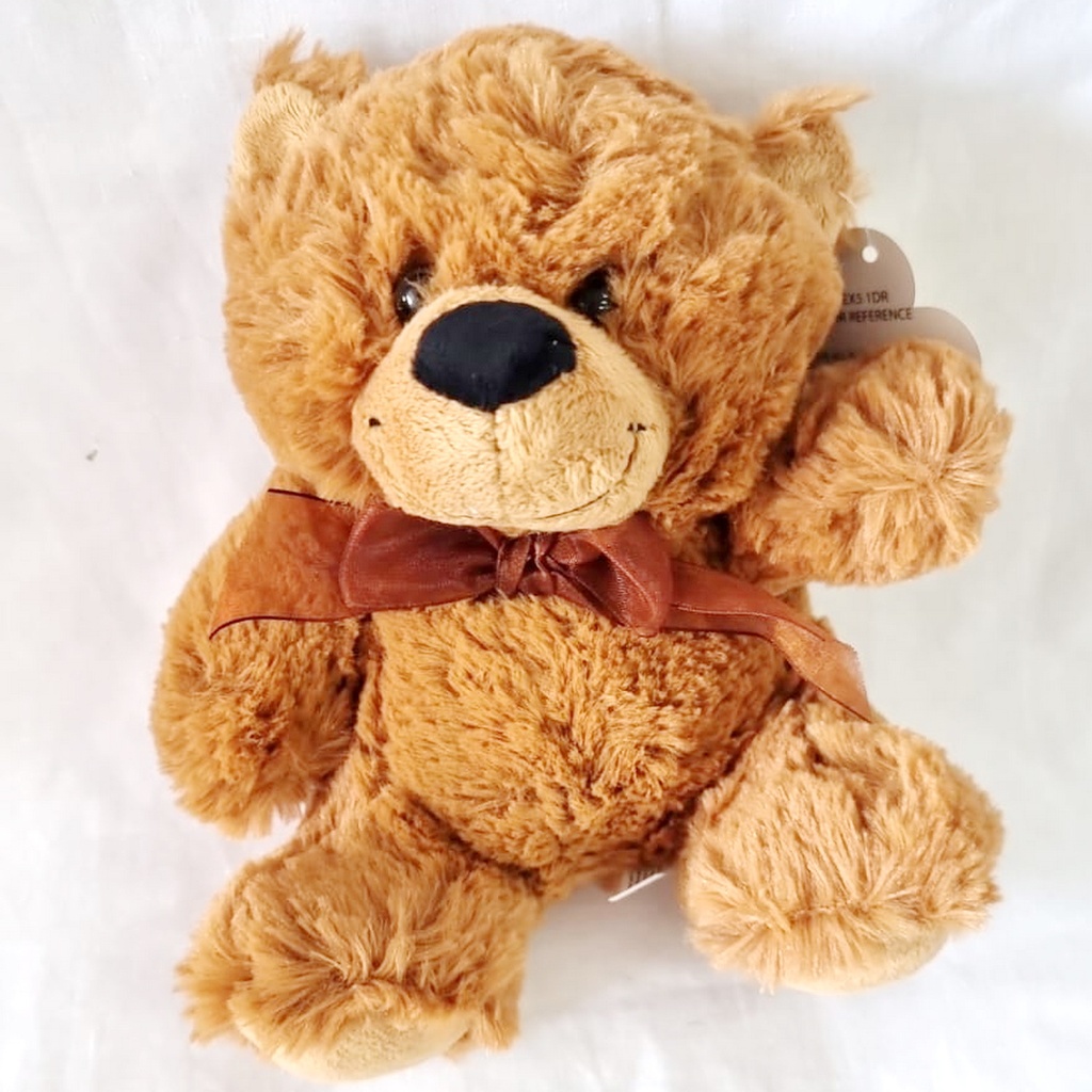 Snuggle Your Cuddly Friend Teddy Bear Soft Toy – 18x14cm
