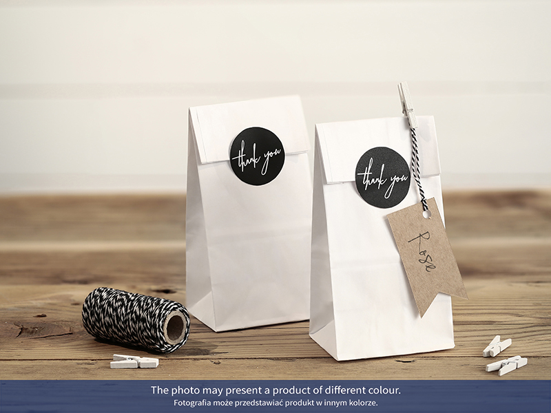 Treat Bags, Kraft (1pkt / 6pc)
