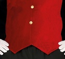 Vampire Count Man Costume – Adult Size Medium (48-50)