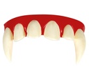 Vampire Teeth With Thermoplastic Paste (2184)
