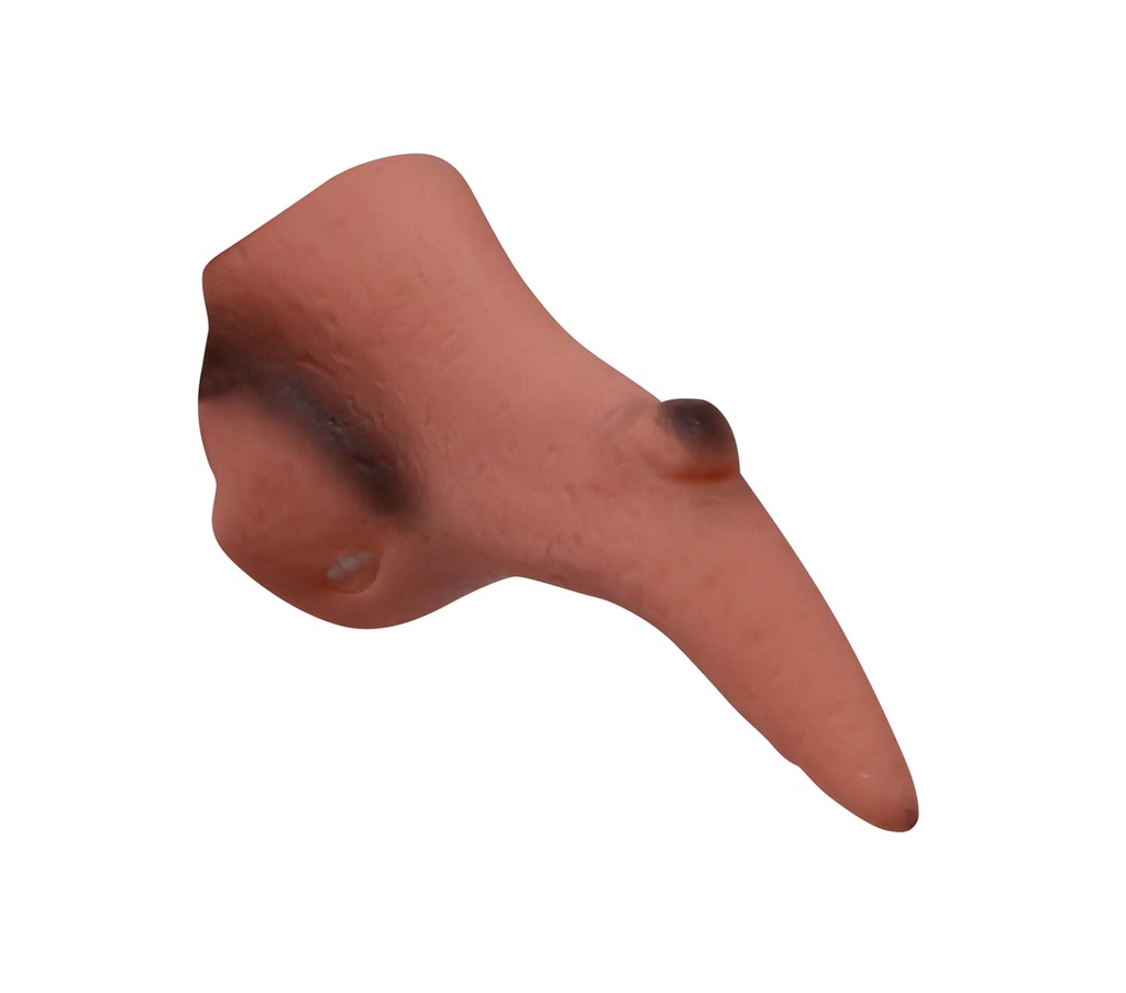 2447_10.jpg