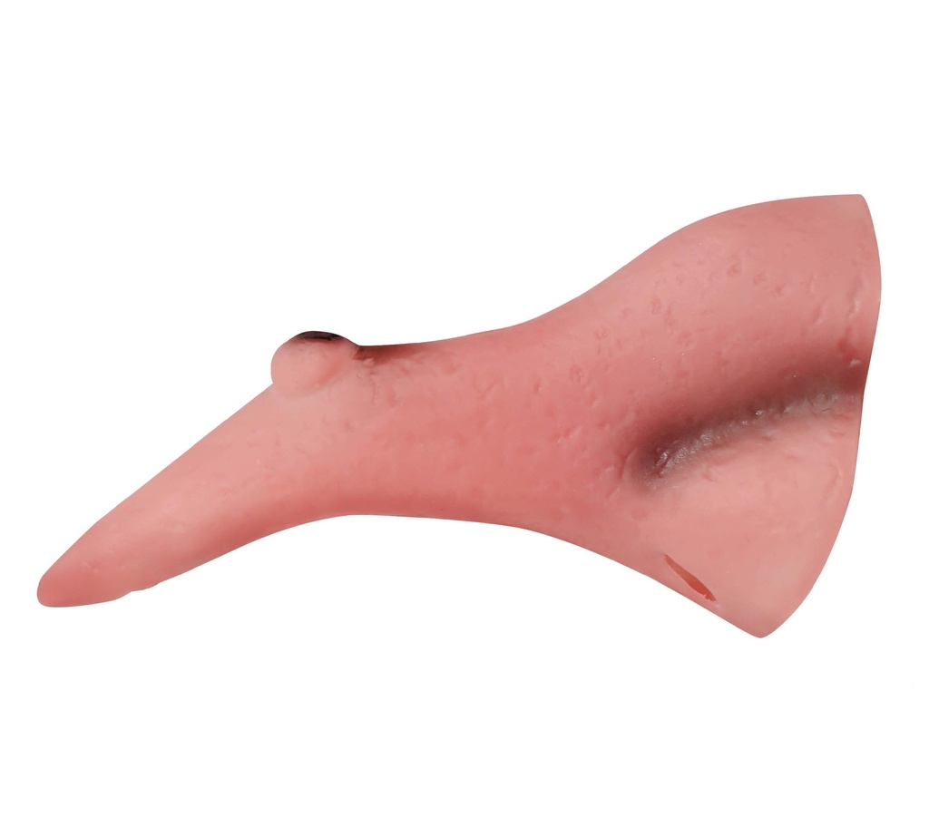 2447_17.jpg