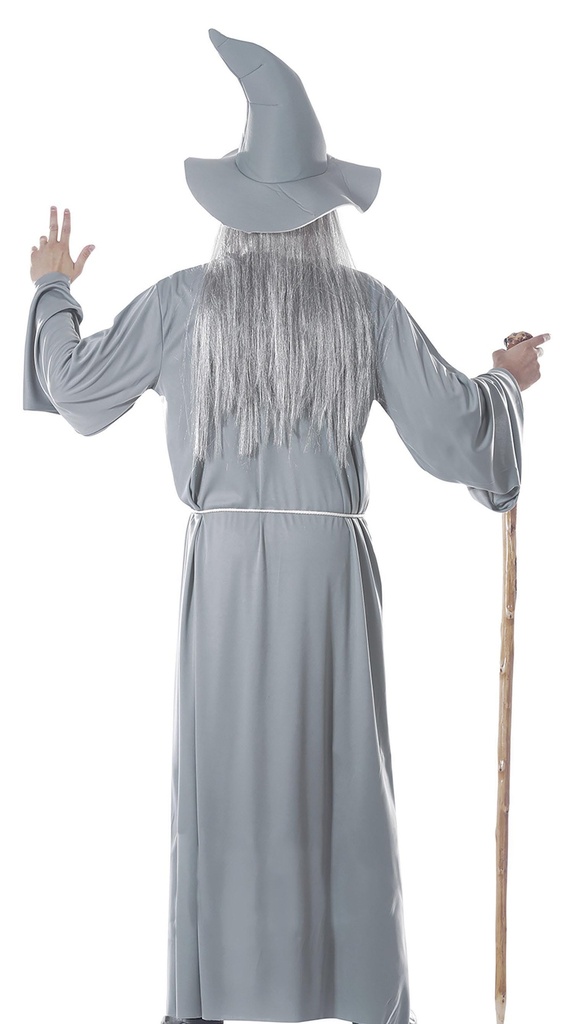 Wizard – Adult Size Medium (48-50)