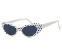 Assorted 60’s Glasses – 1pc