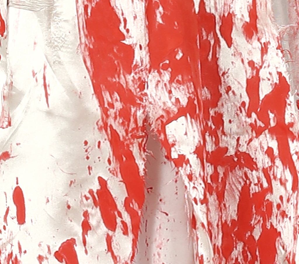 Bloody Bride Woman Costume – Adult Size Large