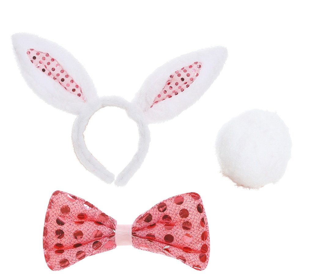 Bunny Girl Set