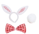 Bunny Girl Set