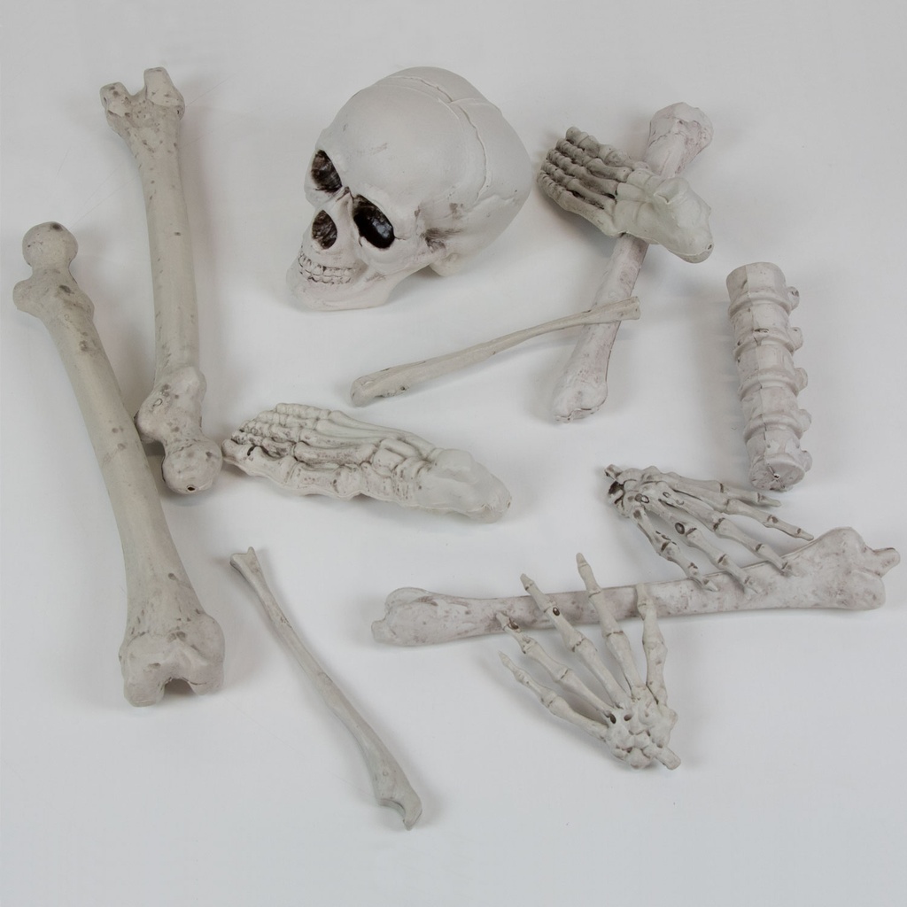 Complete Bag of Skeleton Bones Decoration Kit