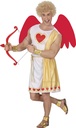 Cupid Valentine Archer Of Love Costume - Adult Size Large (52-54)