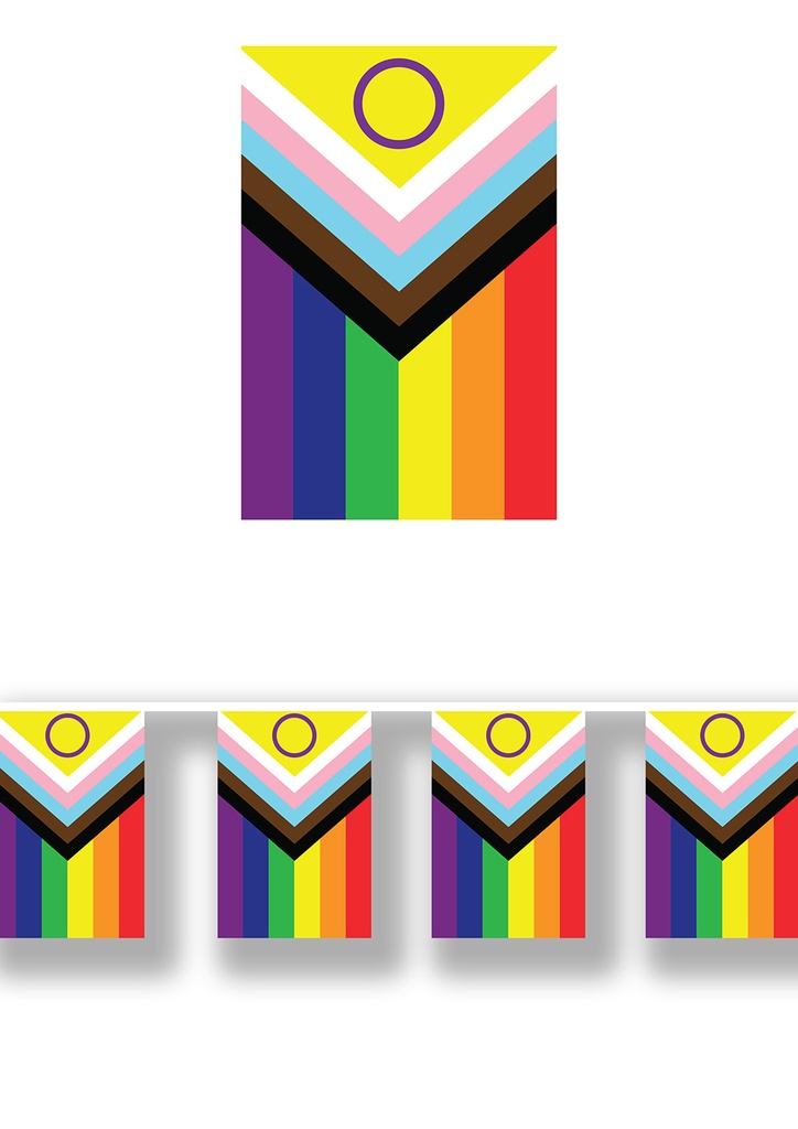 Pride Inclusive Rainbow Flag Garland 30x20cm - 2.5m