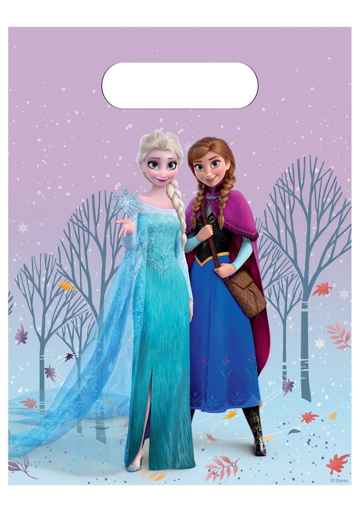 Frozen Idyllic Wonder Party Bags - 6pk