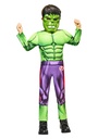 Official Licensed Deluxe Hulk Black Line Costume - Age 7 to 8 Years