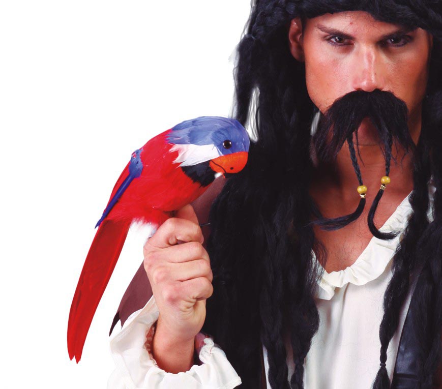 Parrot 35cm