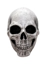 White Skull Latex Mask (Ghoulish) - Adult One Size