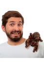 Shoulder Buddy Tarantula (Ghoulish)
