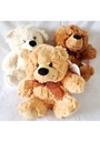 Snuggle Your Cuddly Friend Teddy Bear Soft Toy - 18x14cm