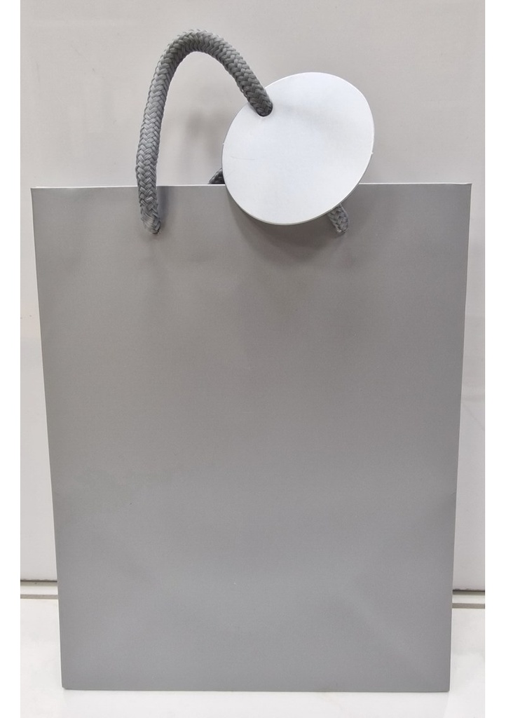 Silver Gift Bag Medium - 23x18x10cm