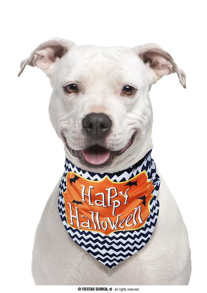 Halloween Pet Scarf Happy Halloween