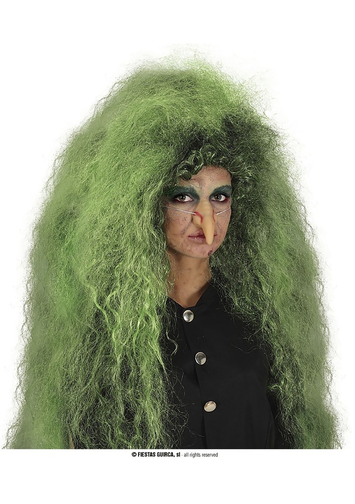 Green & Black Witch Wig - Adult One Size