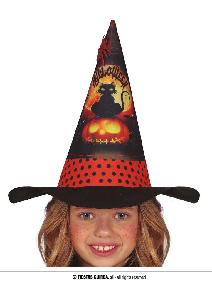 Orange Witch Hat - Child One Size